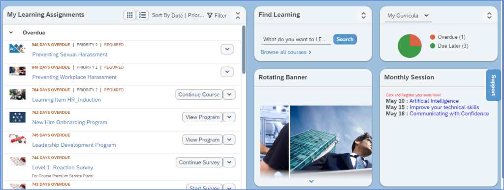 SAP Success Factors interface